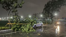 杜蘇芮,颱風,高雄,停電,路樹倒塌,
