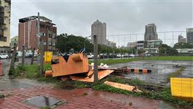 杜蘇芮颱風,路樹倒塌,福氣大貓,裝置藝術