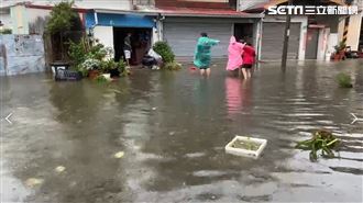 颱風剛走登革熱暴增18例！CDC3提醒避感染