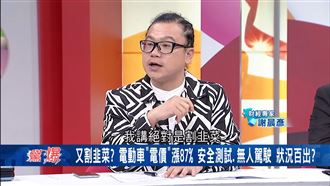 中國鼓勵換電動車反漲電費　專家：割韭菜