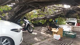 杜蘇芮颱風,路樹倒塌,機車騎士