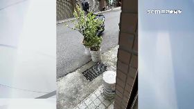 文 警錯寫肇逃1800