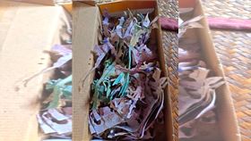 私房錢 鞋盒 白蟻 （圖／翻攝自臉書）
