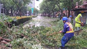 高雄許多路樹因颱風傾倒（1）颱風杜蘇芮風勢強勁，高雄市政府統計，截至28日中午，共接獲全市路樹傾倒案件約800件。市府工務局派員持續清理，盼迅速恢復市容。（高雄市工務局提供）中央社記者蔡孟妤傳真  112年7月28日
