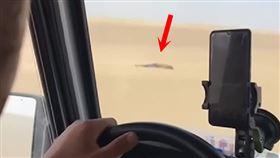 4人非法穿越羅布泊「地獄沙漠」慘死，被烤成焦屍（圖／翻自微博+《51吃瓜網》）