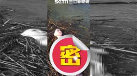 屏東,小琉球,颱風,杜蘇芮,女友,充氣娃娃