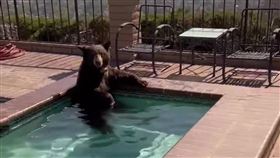 ▲美國加州柏本克一間豪宅，一頭大黑熊泡在豪宅游泳池裡爽爽「降溫」，連看到員警來了也捨不得上岸。（圖／翻攝Burbank Police官方IG，下同）