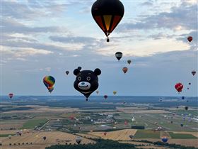 Bravo Bear夏天很忙！在法國與數百顆熱氣球齊飛（業配勿用）