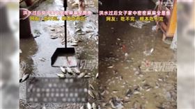 大陸一名女子發現家門四周，出現不計其數的活魚在地上跳來跳去，讓她哭笑不得。（圖／翻攝自微博／星視頻）
