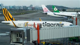 松山機場／松機／停機坪（記者陳弋攝影）