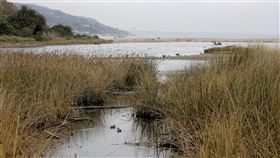 馬利布潟湖（Malibu Lagoon）。美聯社