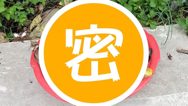 大雨後滿地「鮮食」他喊爽吃網急勸不要
