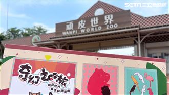 來頑皮世界探險！玩家化身動物冒險闖7關