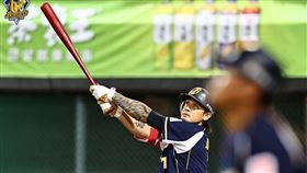 ▲張志豪。（圖／中信兄弟球團提供）