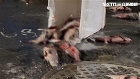  電線杆,車禍,貨車,岡山,高雄,漁（圖／翻攝畫面）