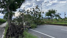 卡努,焚風,台東,國際地標(記者王浩原攝影)