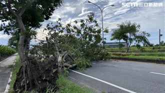 卡努進逼！台東刮大焚風　國際地標被吹壞