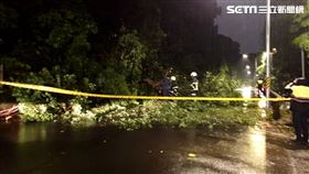 台北市中山區通北街65巷口驚傳路樹倒塌意外。（圖／翻攝畫面）