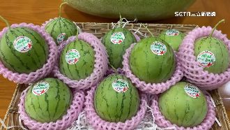 獨／迷你西瓜如壘球大！皮薄肉多清甜爽口