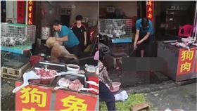 阿拉斯加犬被領養不到1天竟在狗肉店找到（圖／翻攝自微博）