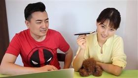 老高,小茉,藍泉媽媽,抄襲,PTT,Dcard,年齡