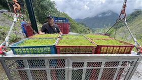 明霸克露橋,桃源區,高雄市,豪雨