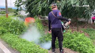 本土登革熱破2千例！雲林8旬婦確診6天亡