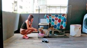 外稿－鏡周刊－【學姐關切喬違建2】建管處拆除令被當塑膠　網紅夫妻靠一招囂張鑽漏洞