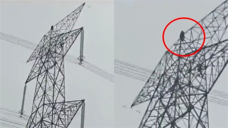 情侶吵架女怒爬電塔！男友也追上　畫片曝