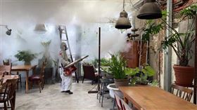 登革熱(台南市政府提供)