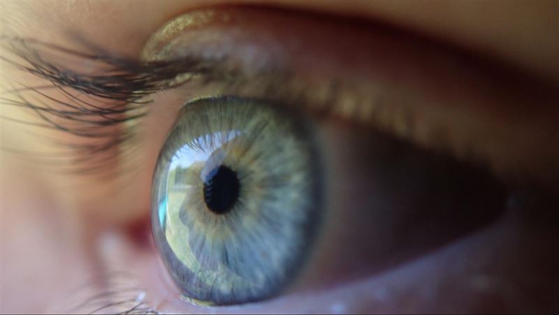 從眼睛看出腎病變　「AI算命」超前部署