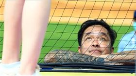 味全龍,大師兄,林智勝,中職,明星賽,偷看,啦啦隊,變態,樂天女孩,曲羿