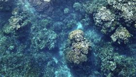 氣候變遷、聖嬰現象影響　「澳洲大堡礁」恐陷白化危機▲。（圖／美聯社／達志影像）