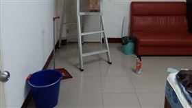 租房,蟻窩,螞蟻