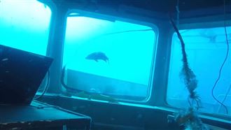 沉船曝光！港務公司：將求償船東3億