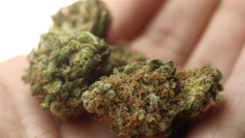 很多大學生呼麻？你不知道的「毒品前傳」