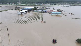 卡努襲南韓！行人過馬路被沖走　撤離萬人