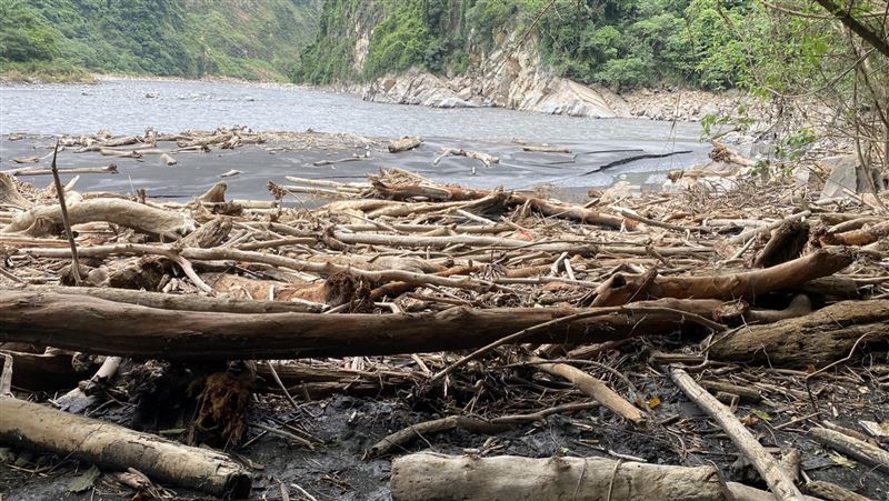 霧社水庫現大量漂流木！清除要花1個多月