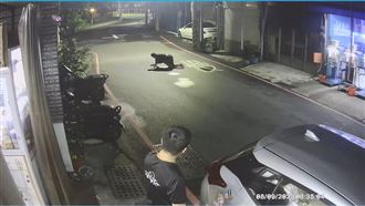 台南暗夜黑衣女爬行？真實原因好不捨