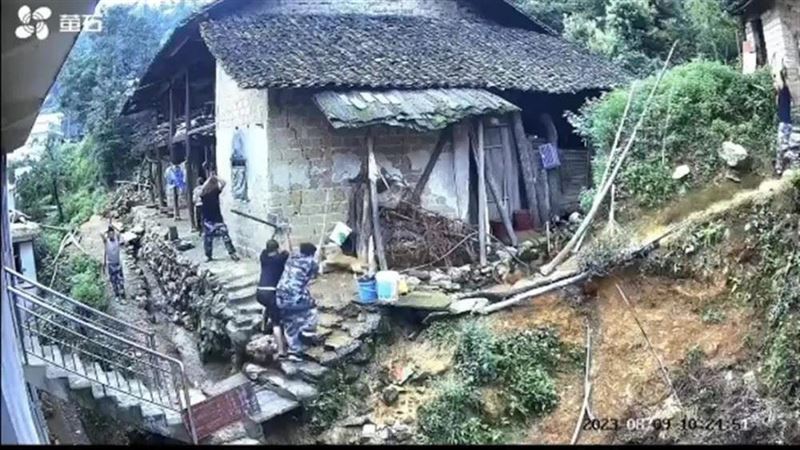 中國野狗大屠殺　沒拴繩就亂棍打死