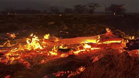 夏威夷毛伊島野火（圖／美聯社／達志影像）
