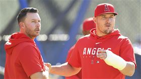 ▲「神鱒」楚奧特（Mike Trout）展開復健。（圖／美聯社／達志影像）