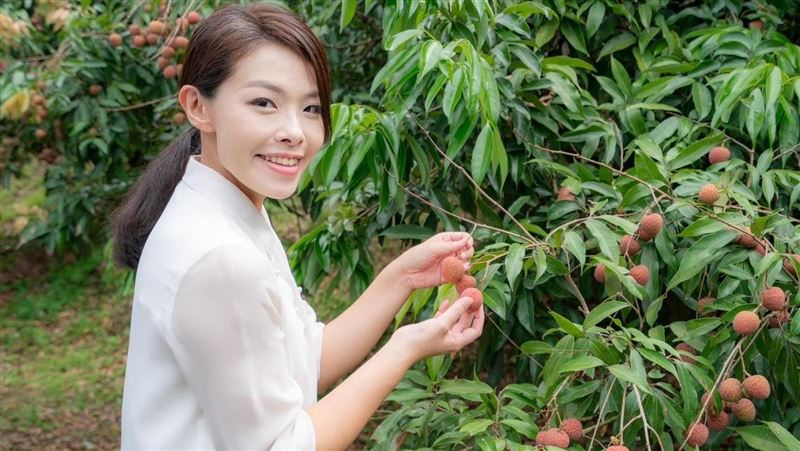 高虹安遭起訴　律師：今天要挖棒球場嗎？