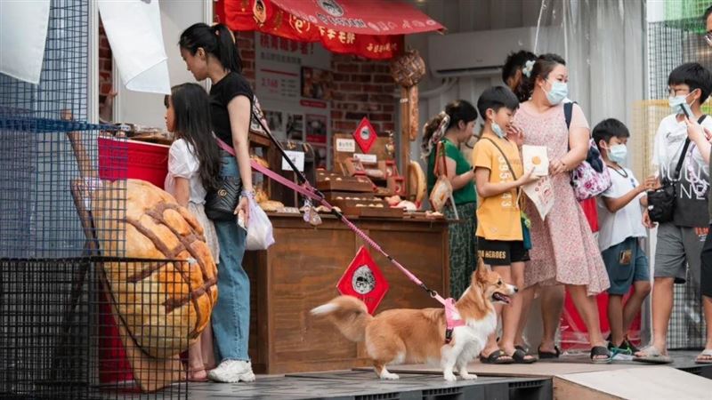 桃園青年局打造串客派對　假日辦快閃體驗