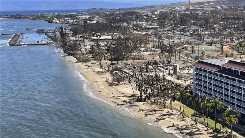 野火肆虐釀百死遊客照戲水!毛伊島人怒吼