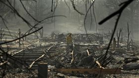 宛如一座大型火葬場！夏威夷大火災區畫面曝光　罹難者屍首支離破碎。（圖／美聯社／達志影像）