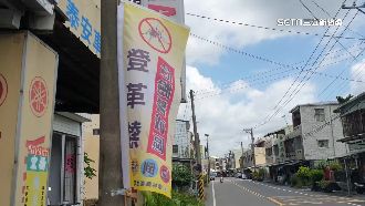 警戒旗插你家門！部分登革熱確診者反彈