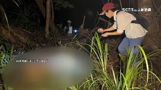 港口溪畔梅花鹿陳屍！疑活體遭斷首