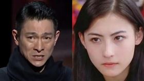 劉德華,張柏芝,向太,大隻佬