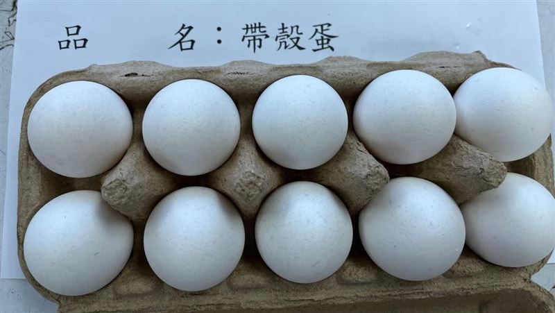 進口巴西蛋驗出禁用抗生素　106噸全銷毀